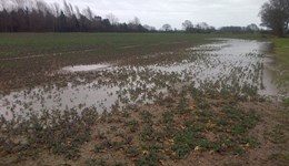 Hereford Monitor Farm – Land Drainage 